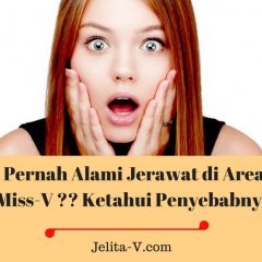 penyebab-jerawat-di-area-miss-v