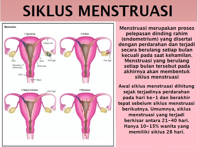 menstruasi pertama pada wanita