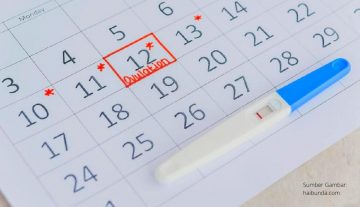 Menghitung Masa Subur Wanita Setelah Haid Yang Tepat dan Akurat!